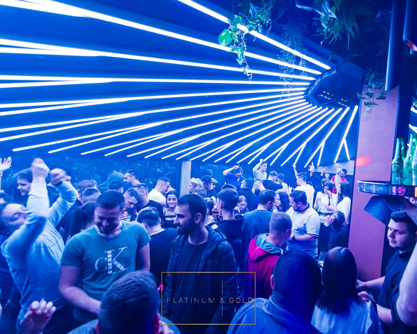 Platinum & Gold club - Image 4