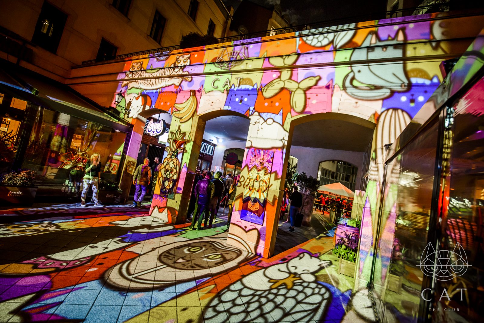 CAT Budapest - Image 2