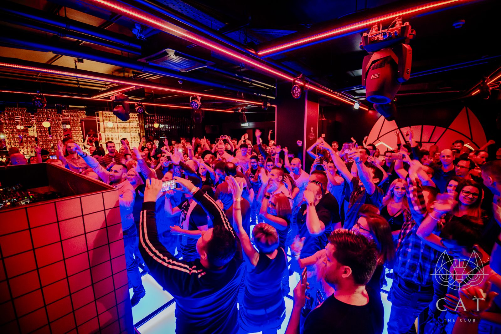 CAT Budapest - Image 4