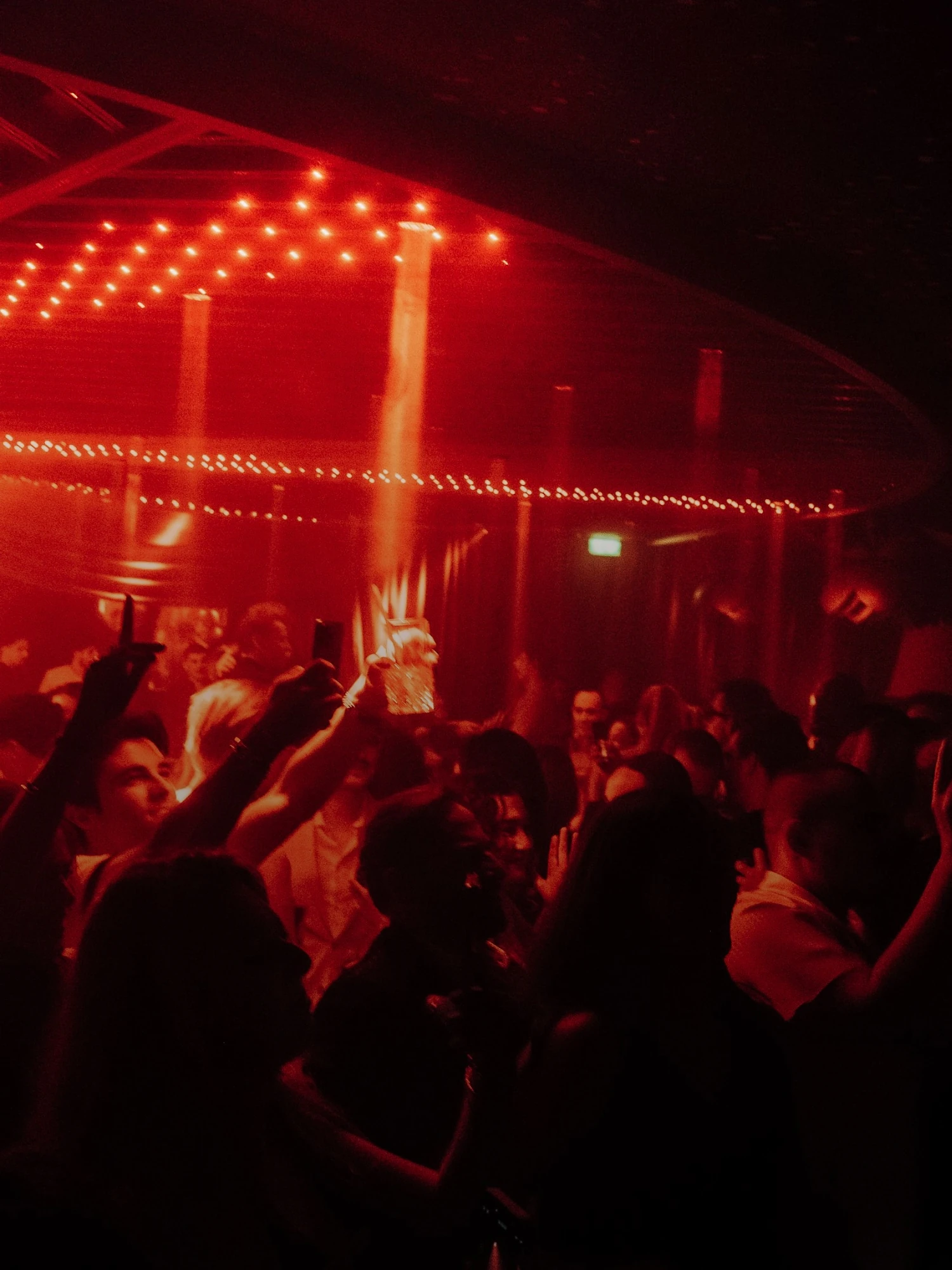 Selva Monte Carlo - Image 3