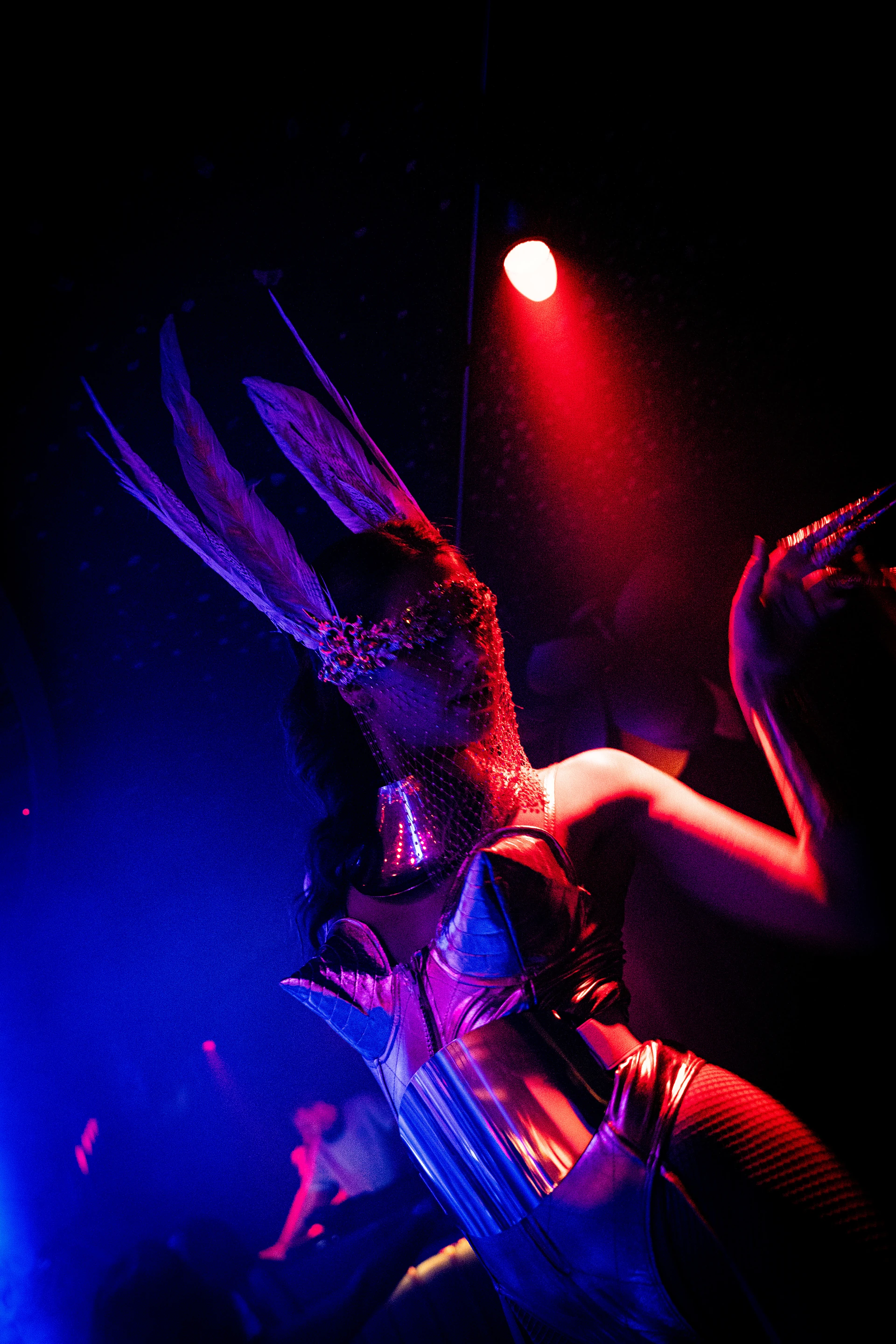 Selva Monte Carlo - Image 4