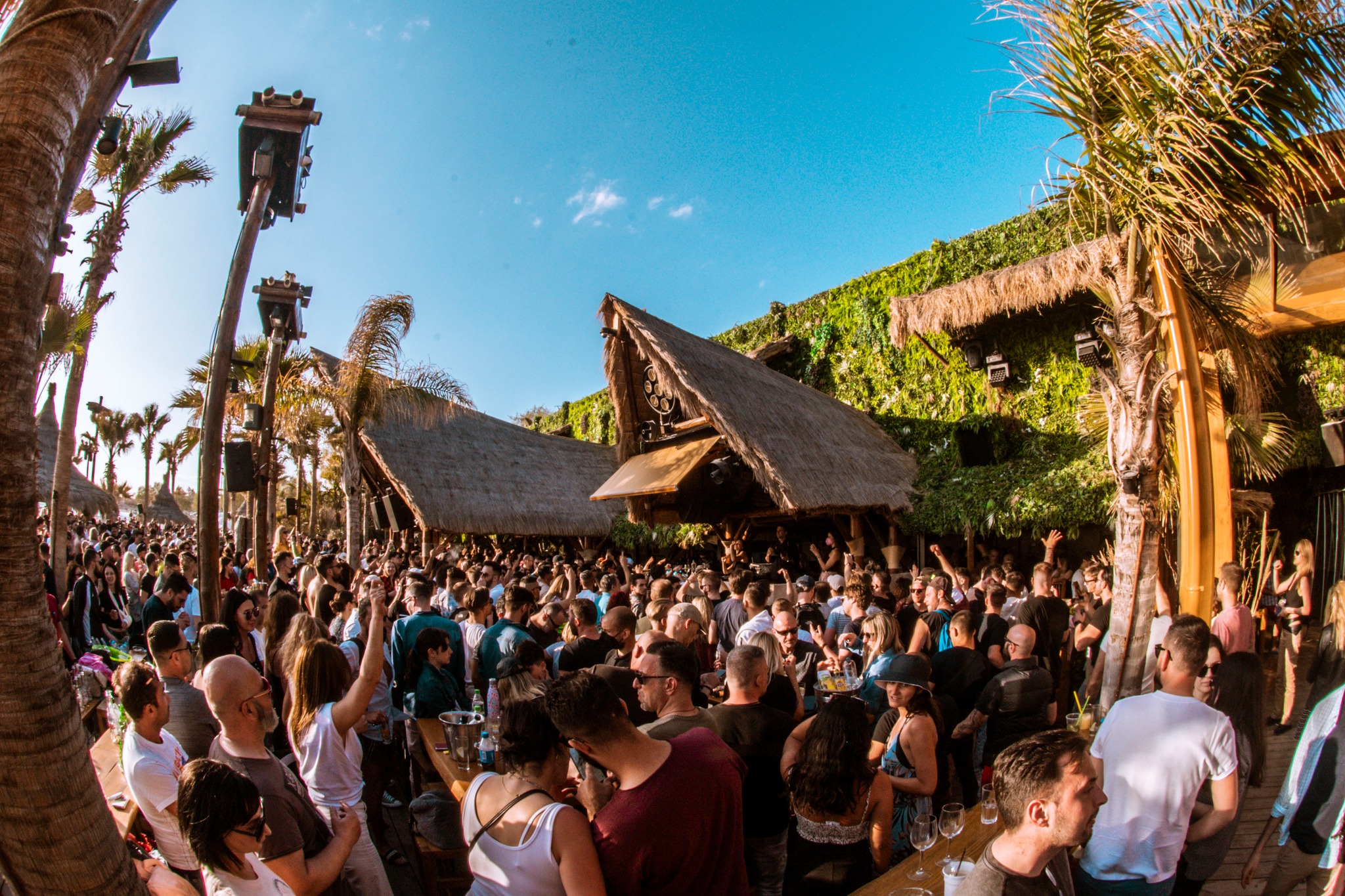 Bolivar Beach Club - Image 2