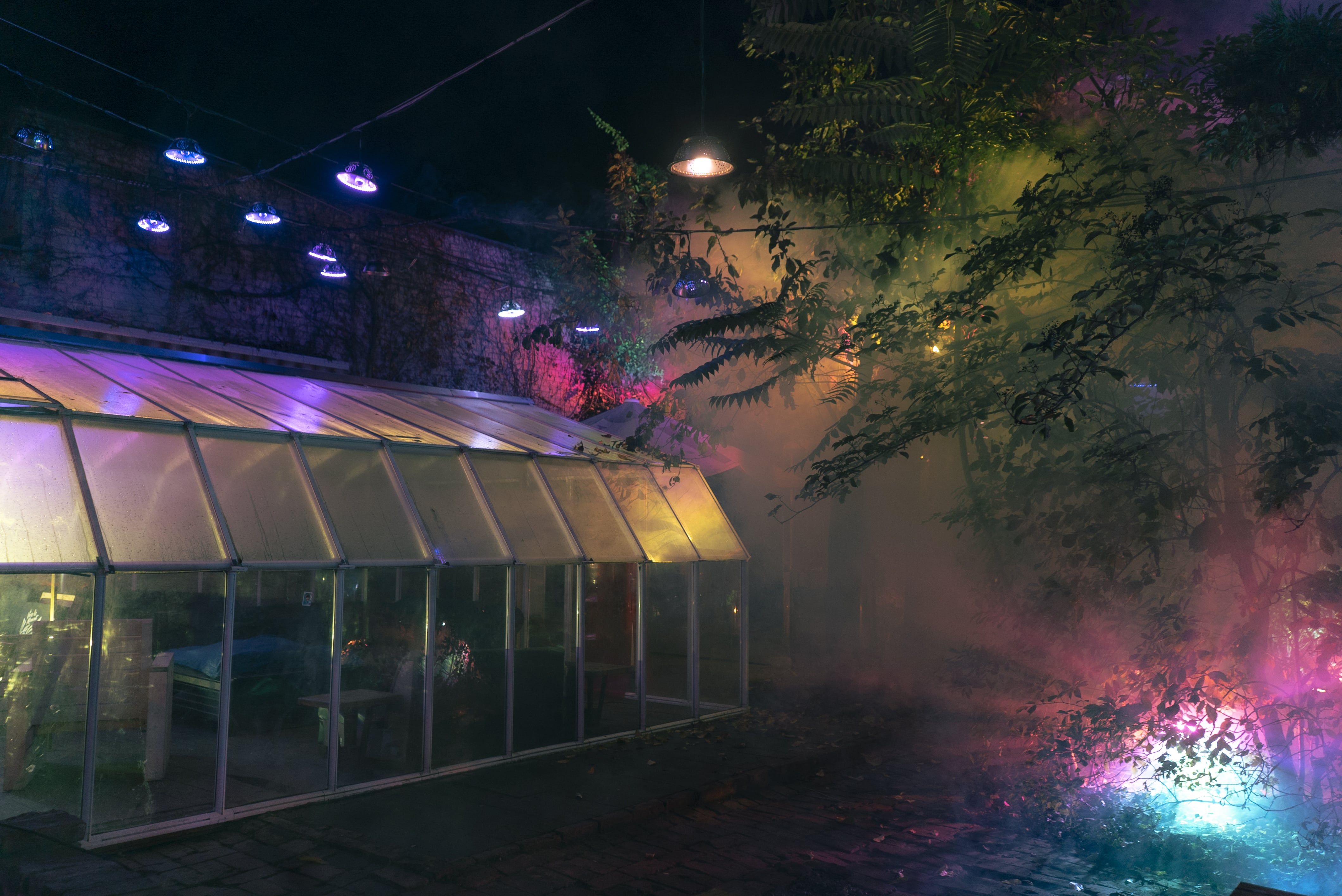 Aeden (Æden) - Image 2