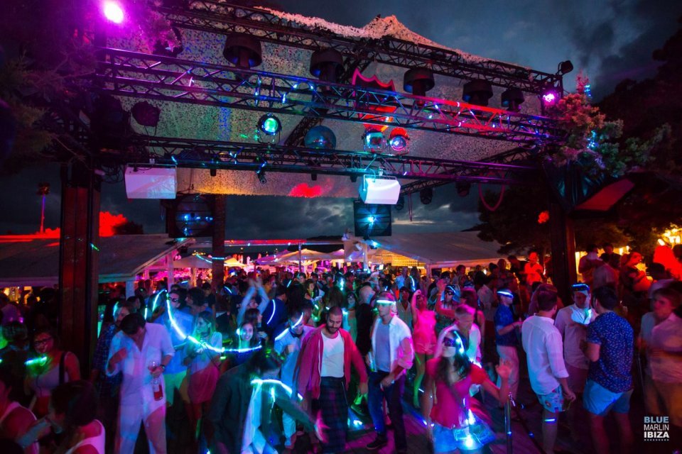 Blue Marlin - Image 3