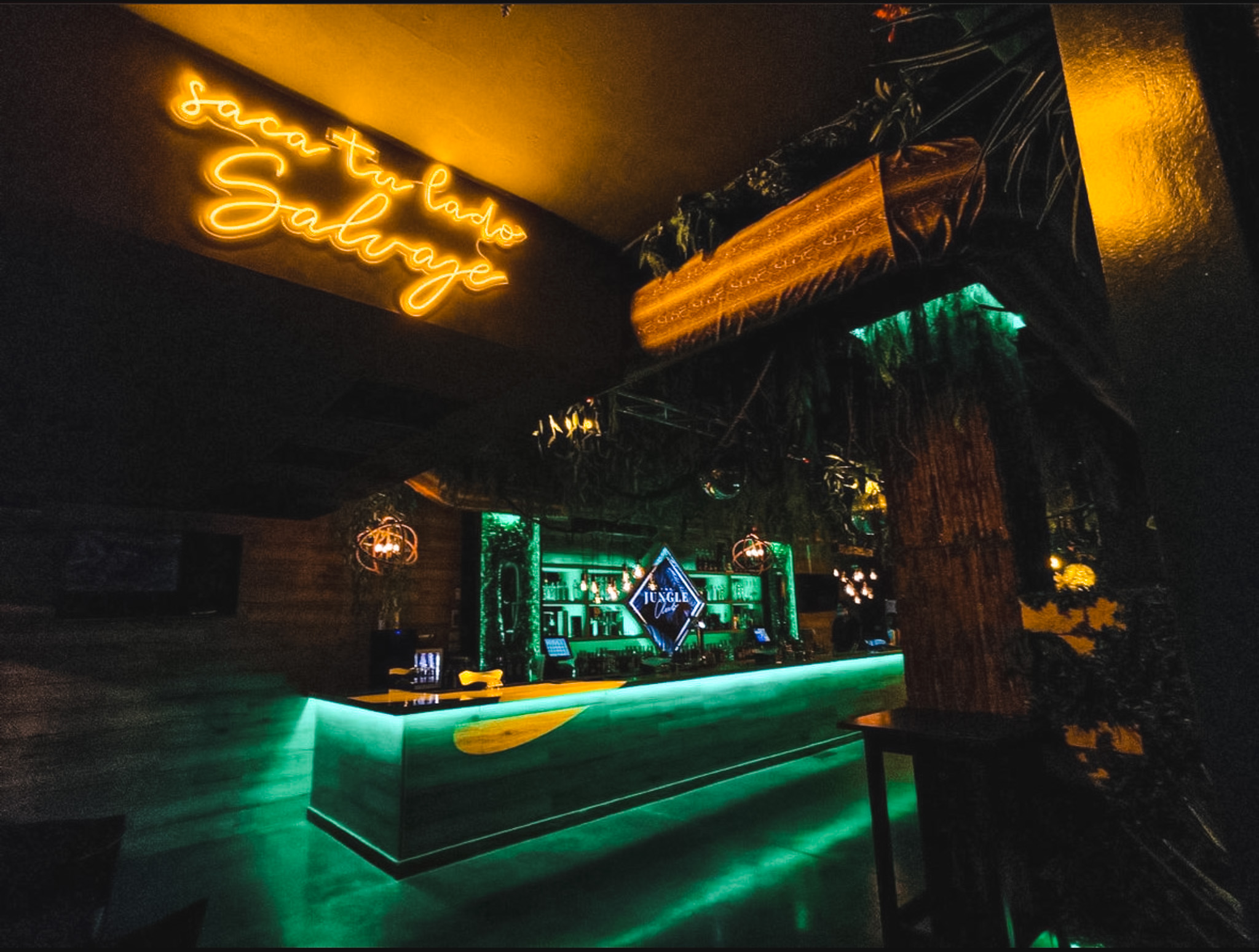 The Jungle Club - Image 1
