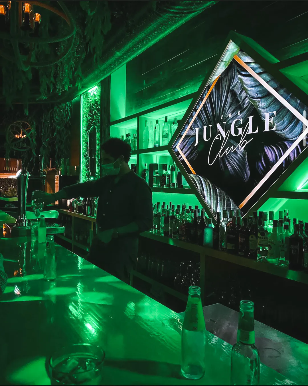 The Jungle Club - Image 2