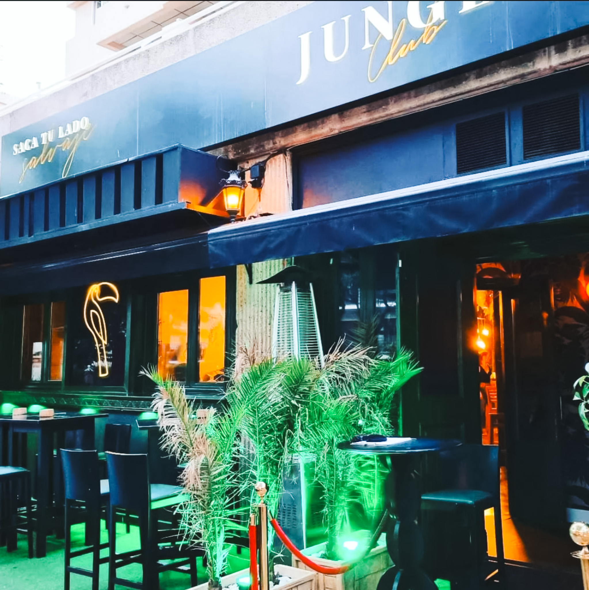 The Jungle Club - Image 3