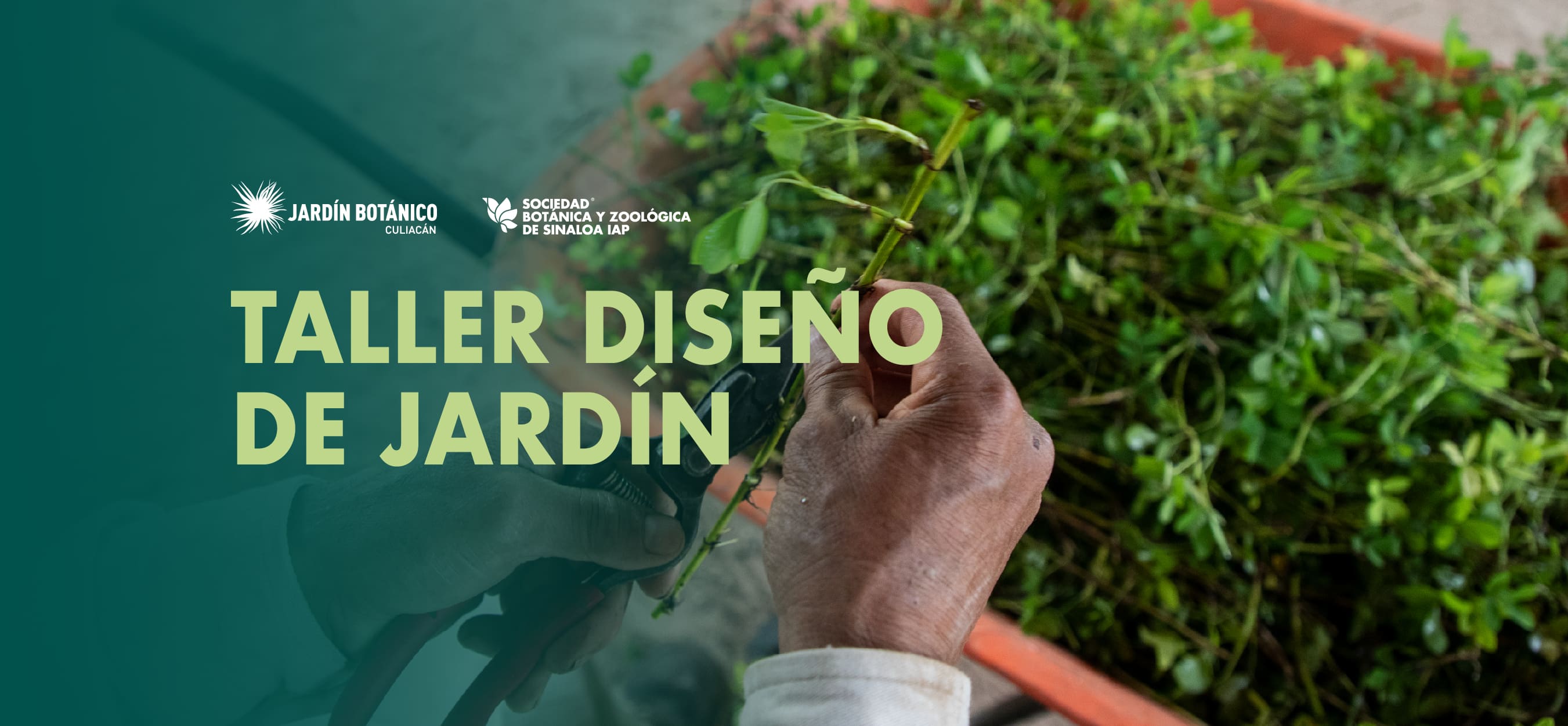 Imagen de portada para el evento: Taller: Diseño de Jardín