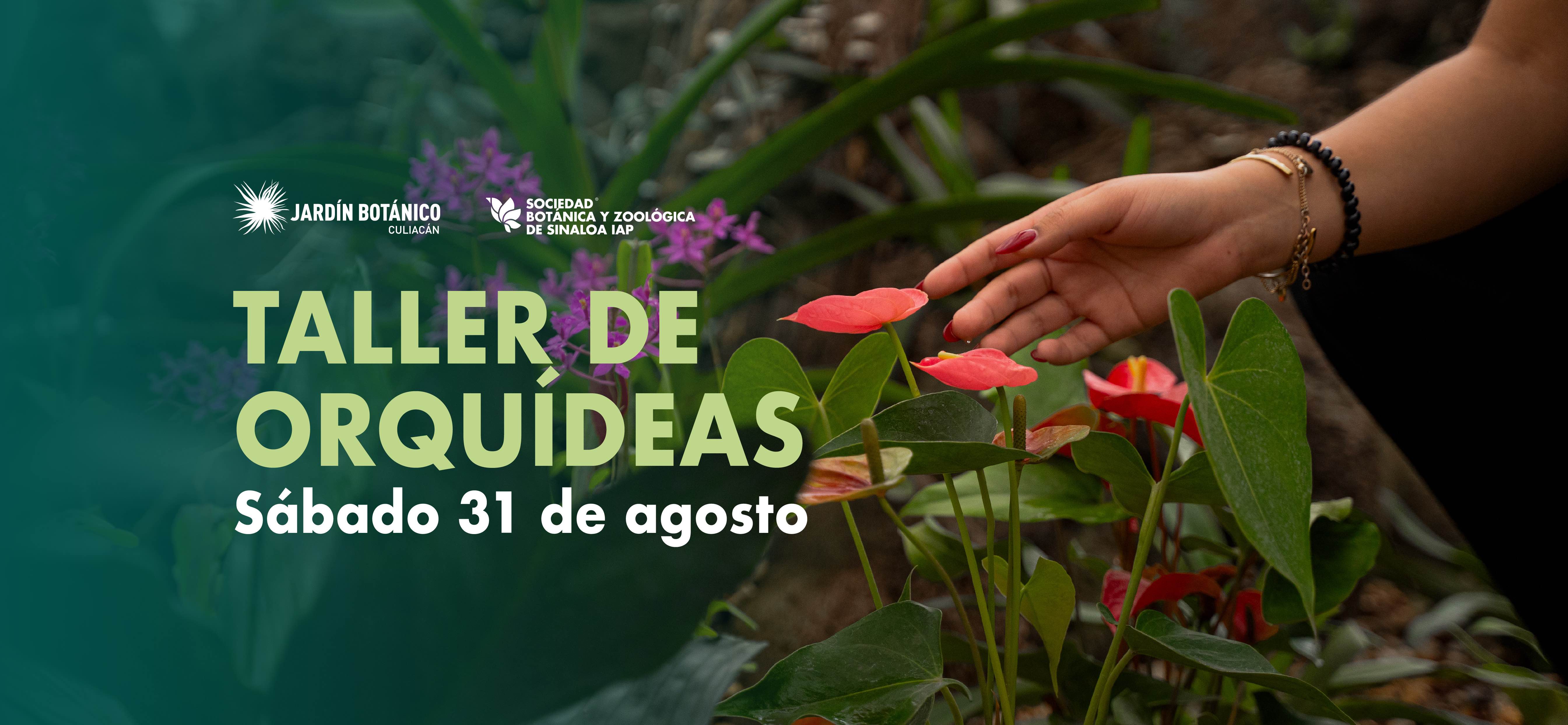 Imagen de portada para el evento: Taller de orquídeas 