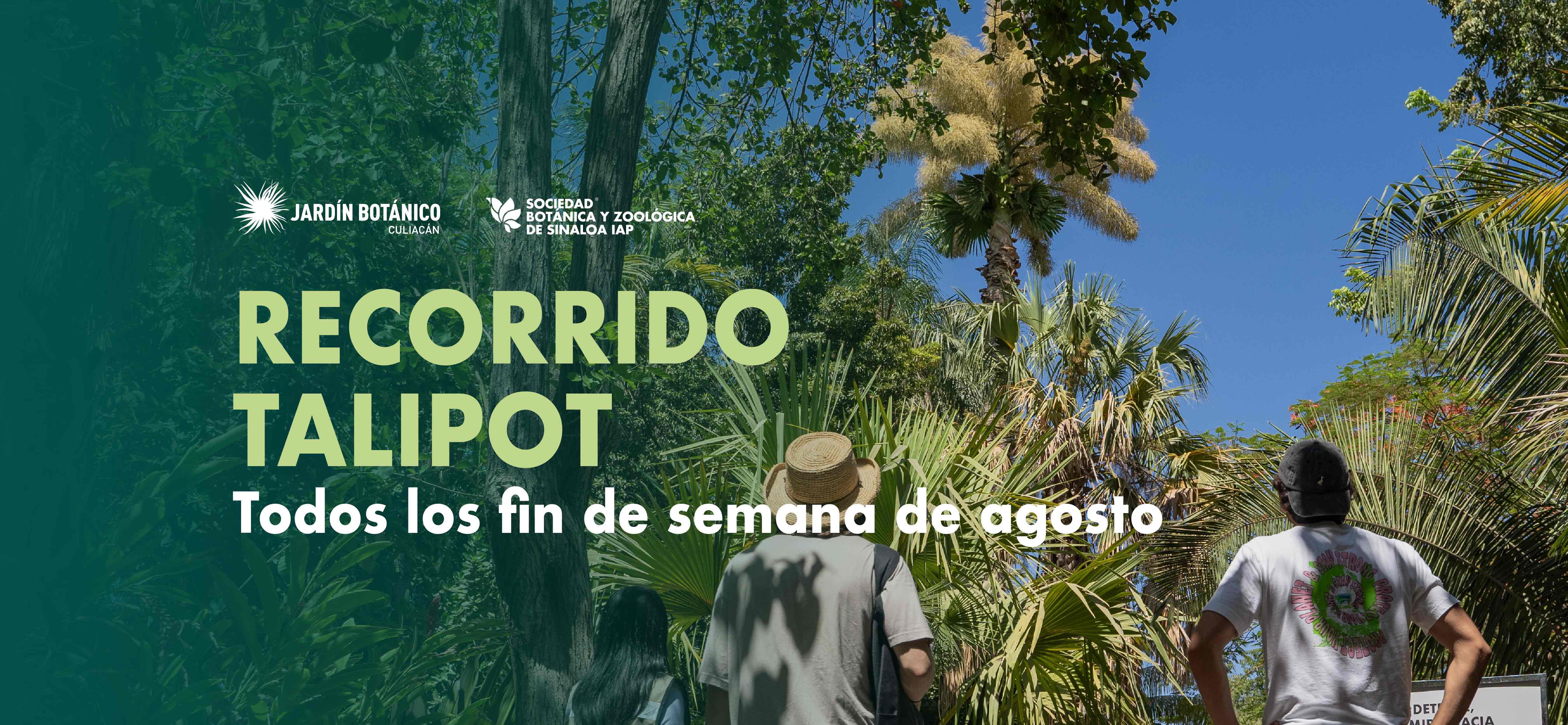 Imagen de portada para el evento: Recorrido Talipot - Agosto