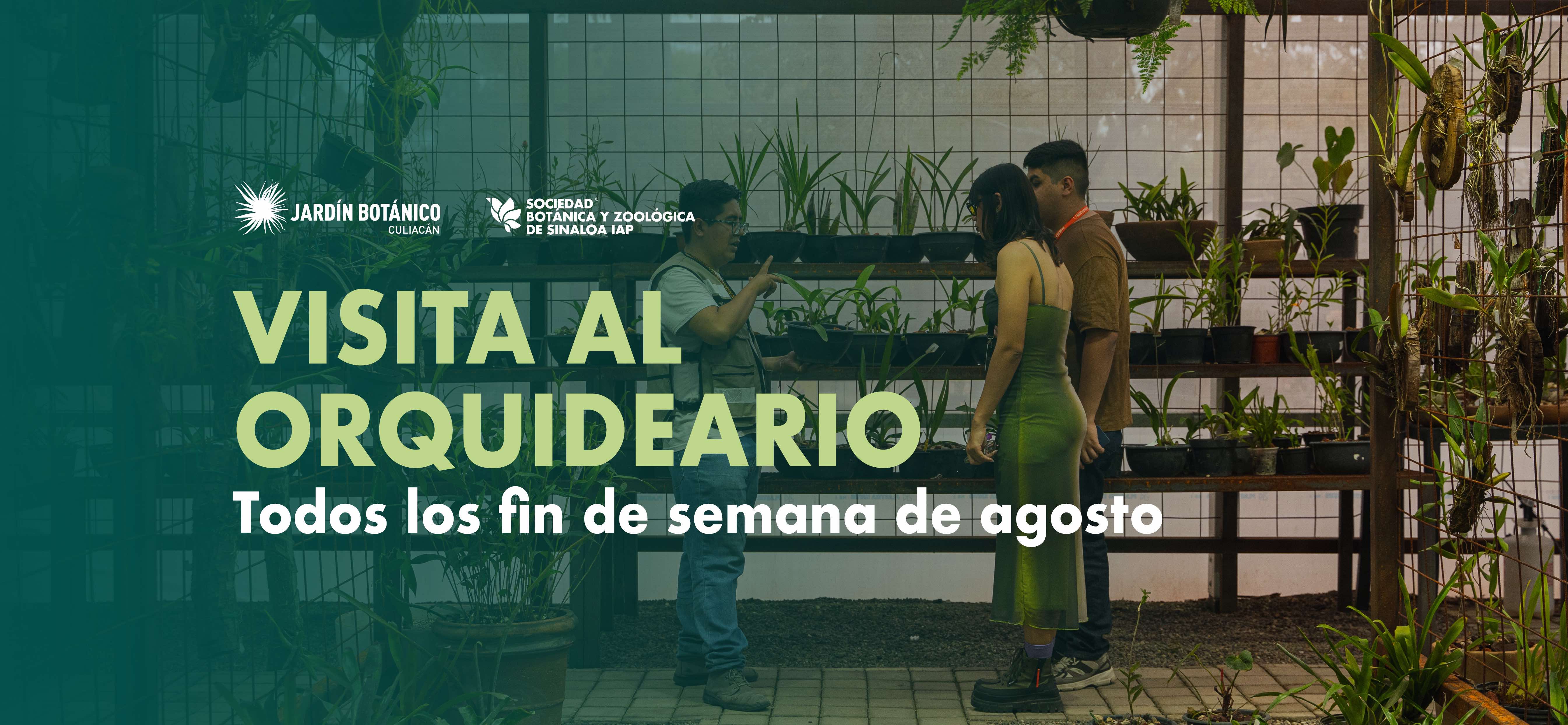 Imagen de portada para el evento: Visita al Orquideario - Agosto