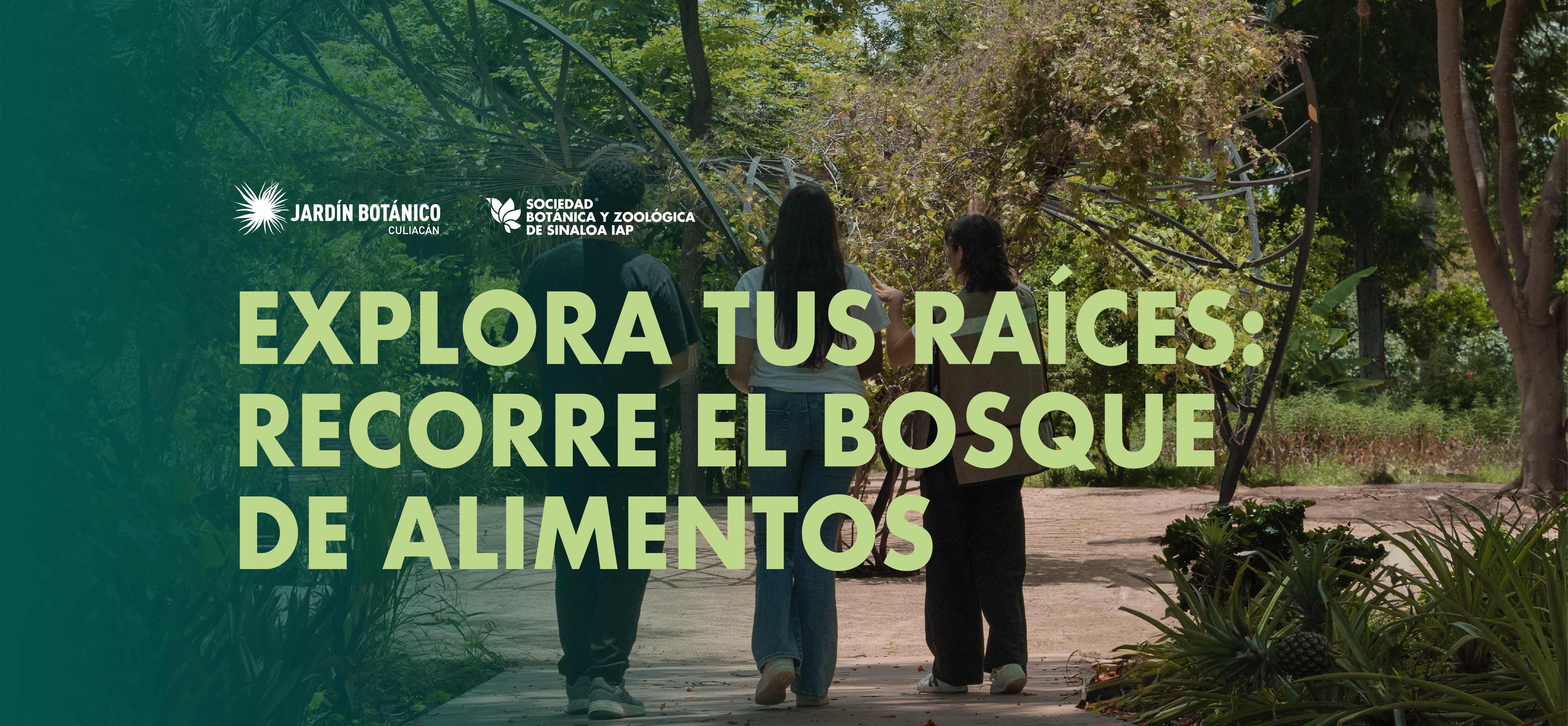 Imagen de portada para el evento: Recorrido por bosque de alimentos - Septiembre