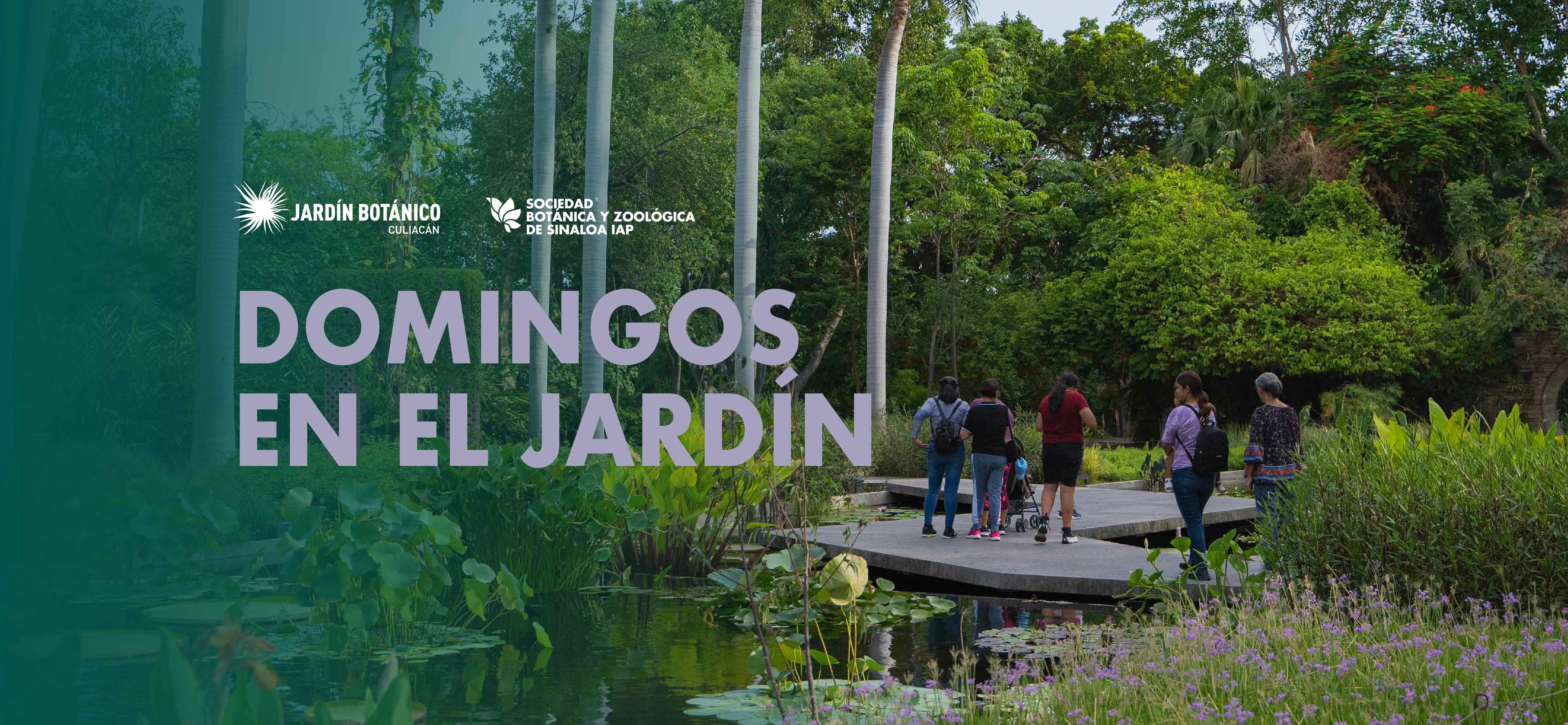 Imagen de portada para el evento: Domingos de Botánico - Septiembre