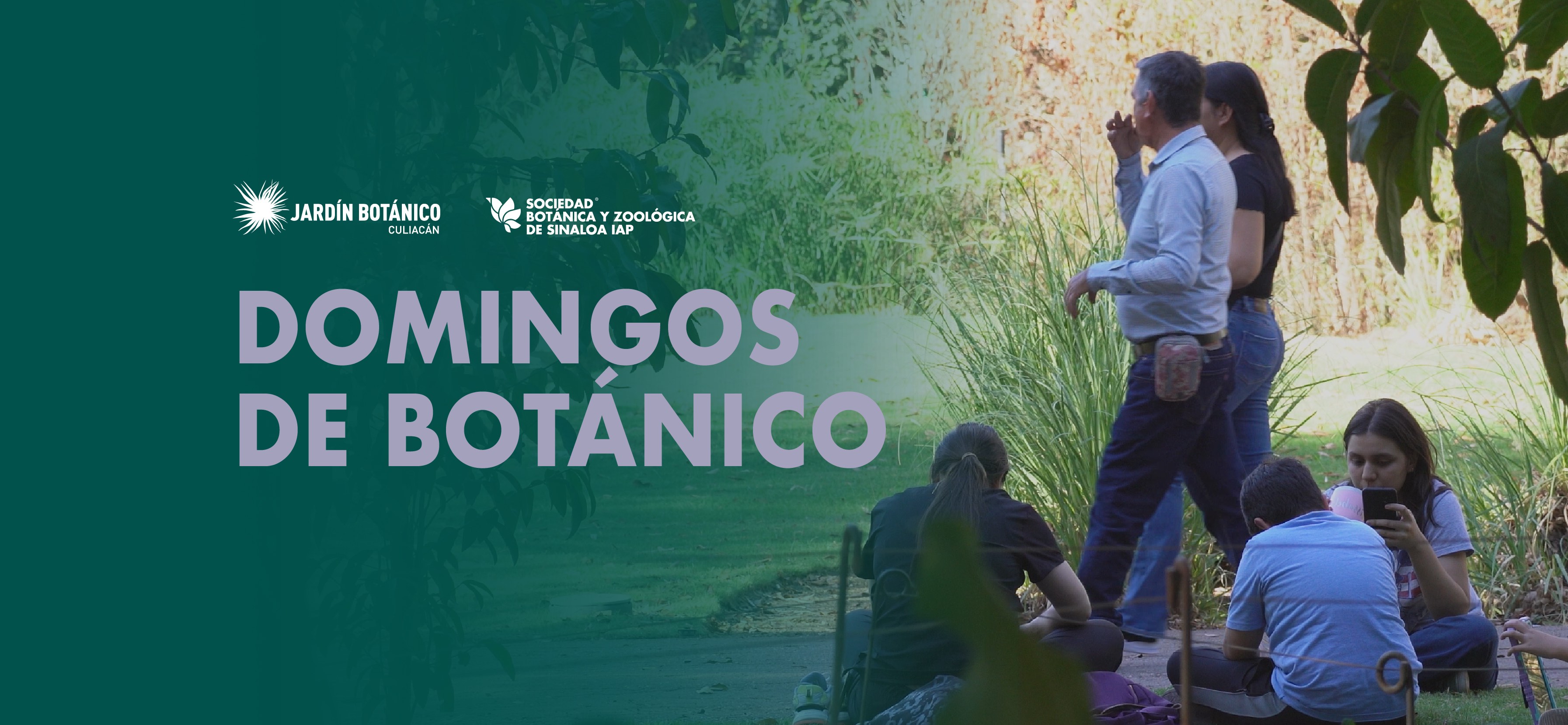 Imagen de portada para el evento: Domingos de Botánico - Agosto