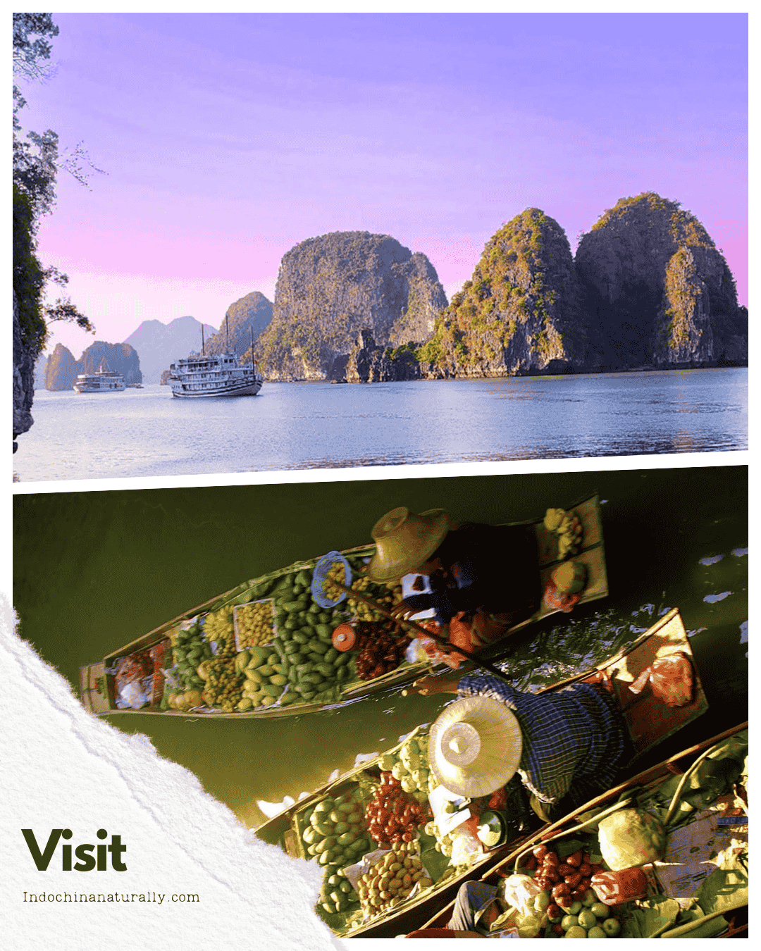 Visit Indo China Naturally 