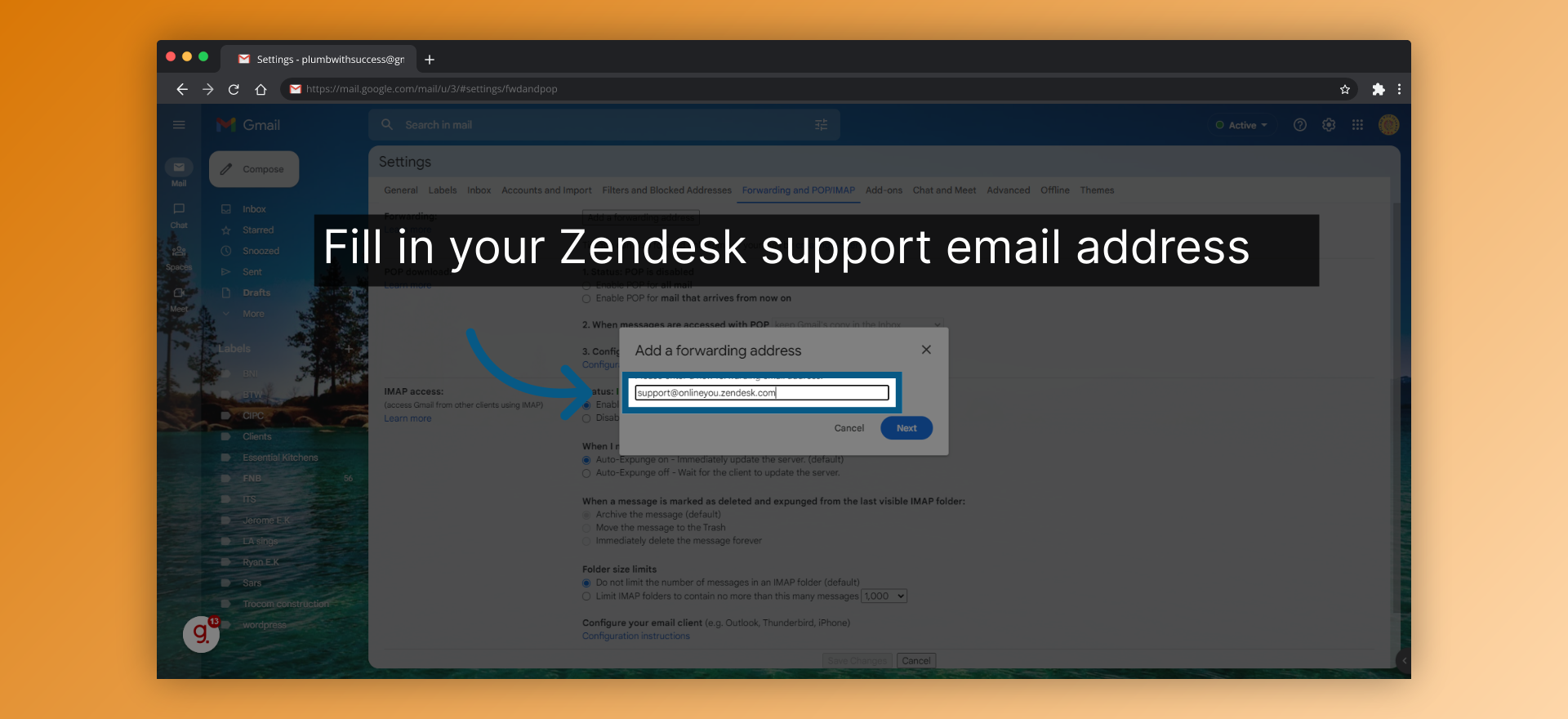 Fill in your Zendesk support email address