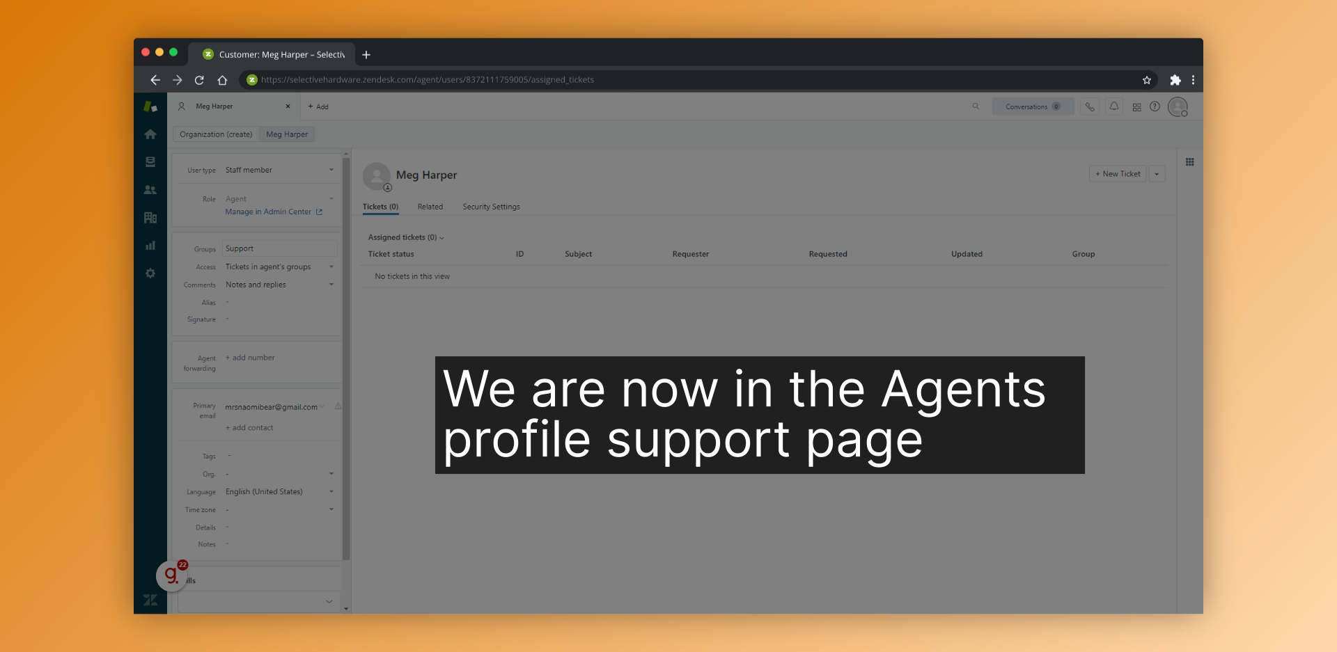 We are now in the Agents profile support page