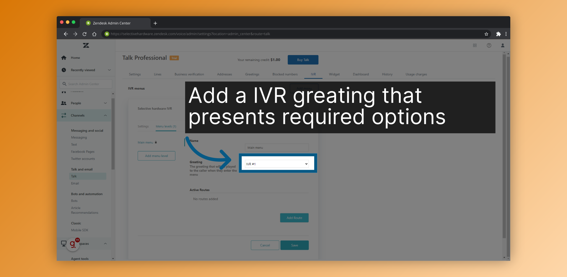 Add a IVR greating that presents required options
