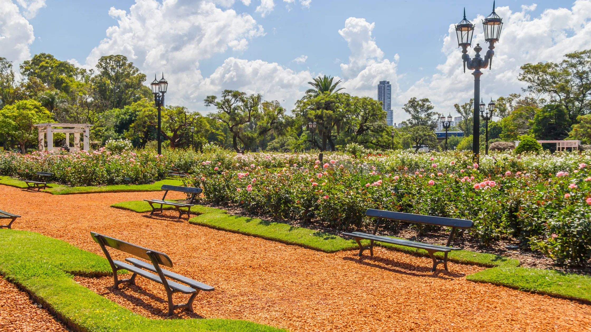 Bosques de Palermo: o coração verde de Buenos Aires image 3