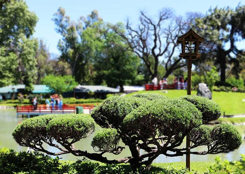 Bosques de Palermo: o coração verde de Buenos Aires image 5