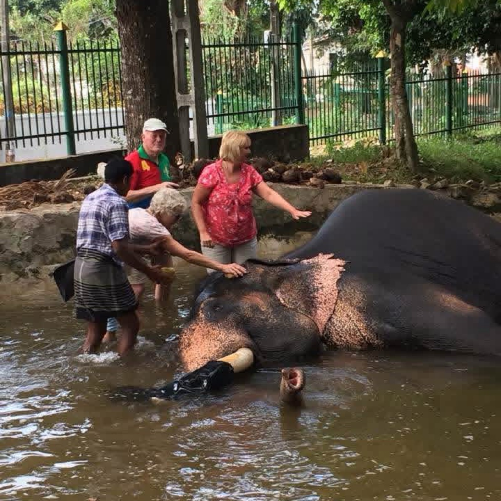 Rana Tours – guida locale in Australia