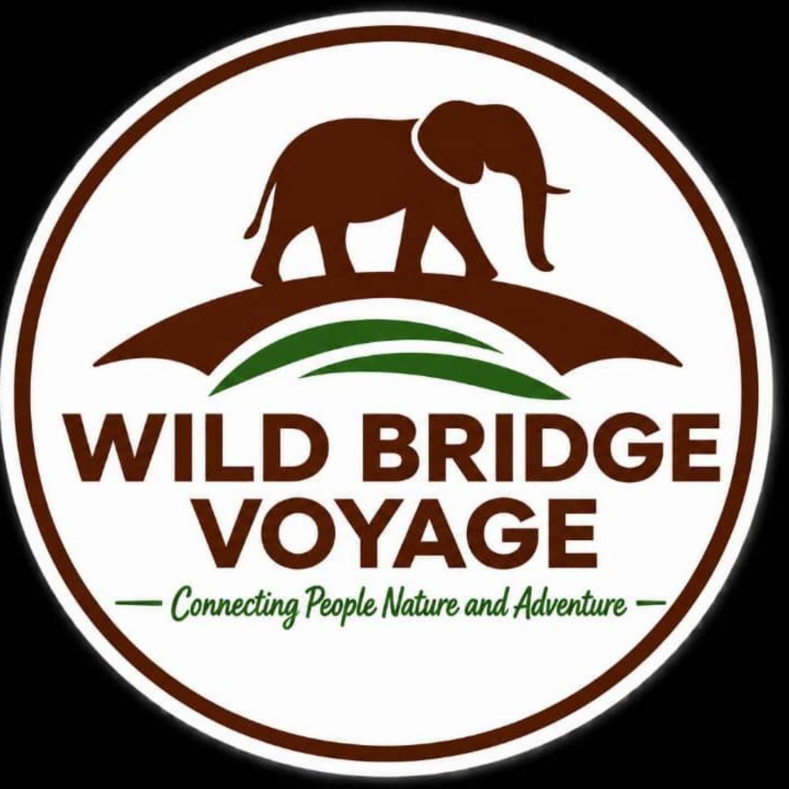 Wild Bridge Voyage – Local overland guides in Botswana