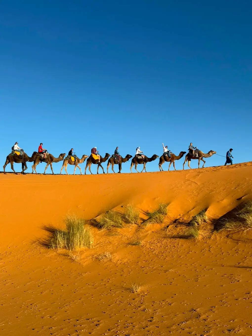 Lahcen Seggaoui – guida locale in Marocco