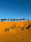 Lahcen Seggaoui – Camper / van guides in Morocco