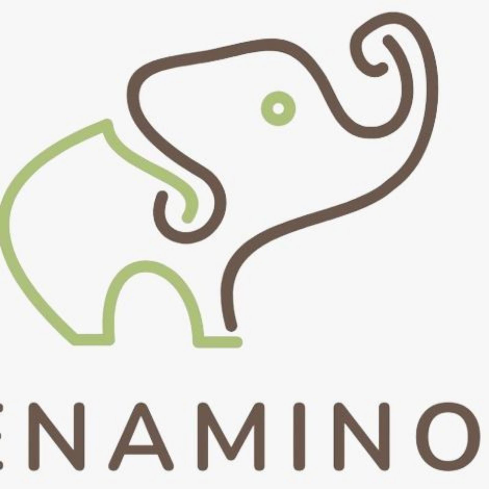 L'Eco-Village d'Enamino – guida locale in Gabon