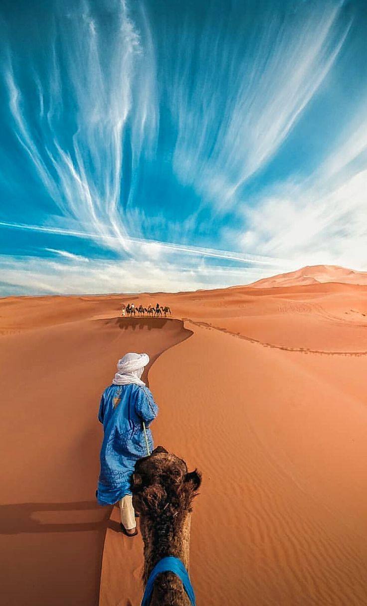 Trek desert Morocco – guida locale in Marocco