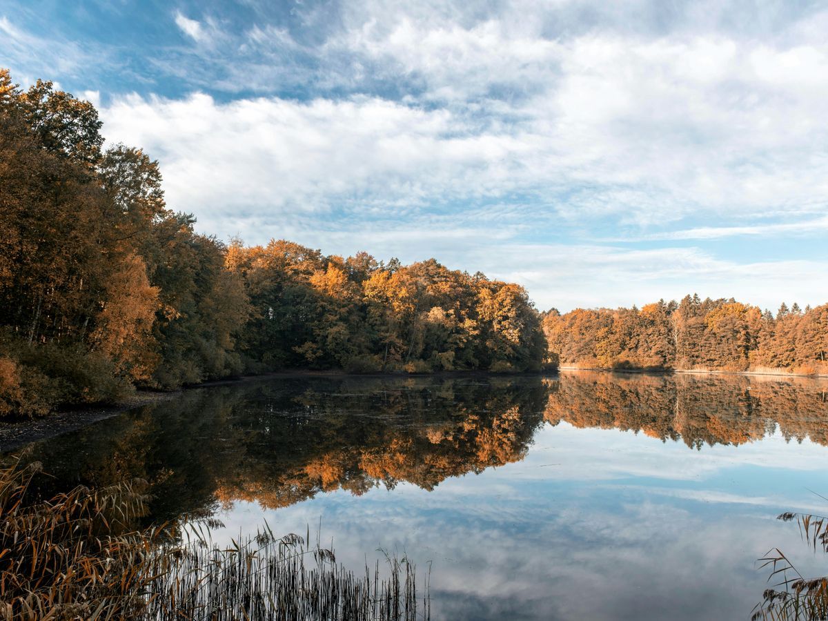 Aktivitäten heute in Lütjensee