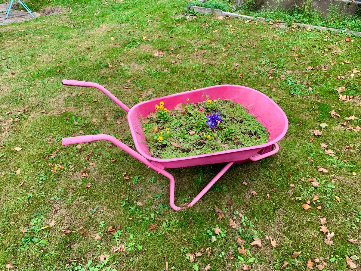Bild Nr.: 2