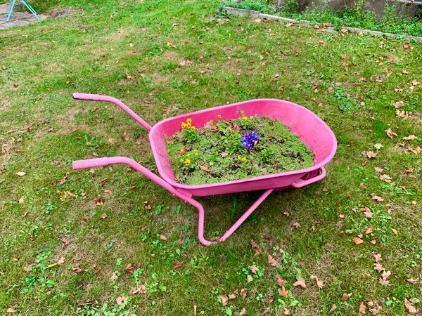 Bild Nr.: 4