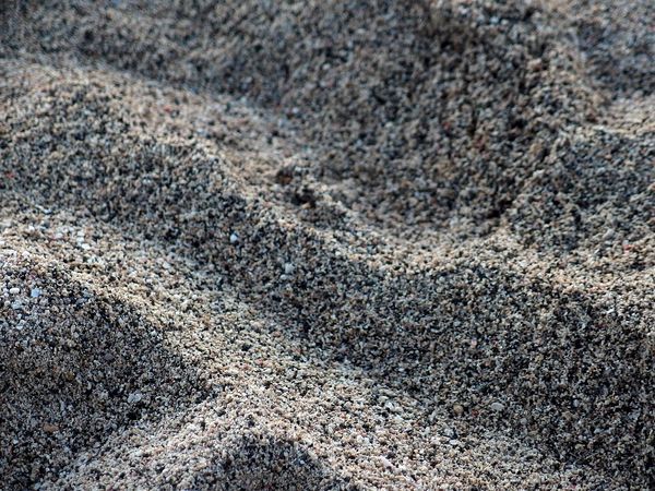 Bild Nr.: 4