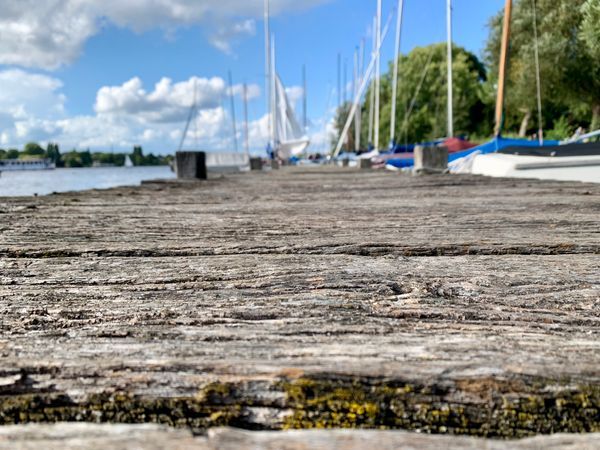 Stand up paddling Verleih Bootsverleih HANSA STEG: Bild Nr. 4