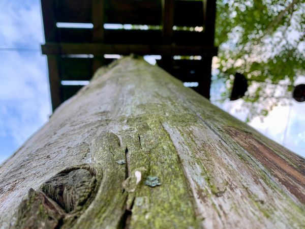 Bild Nr.: 5