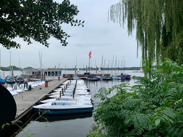Tretboot barca - an der Alster: Bild Nr. 4