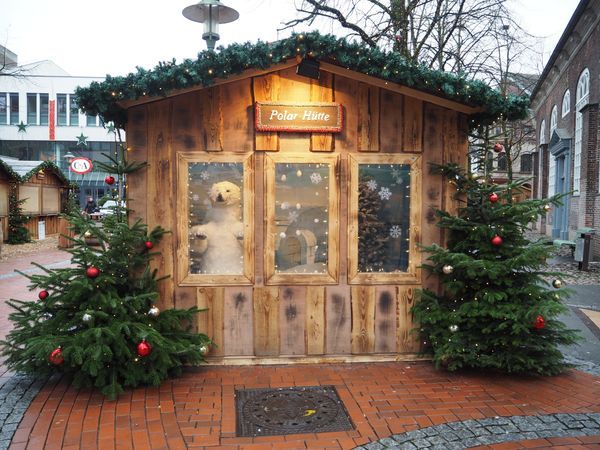 Weihnachtsmarkt Weihnachtsmarkt Elmshorn: Bild Nr. 3