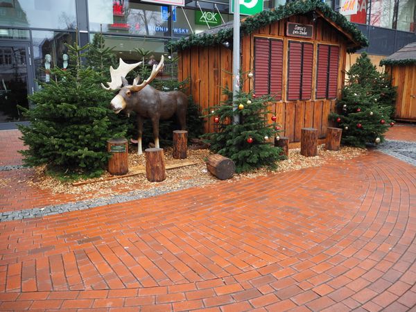 Weihnachtsmarkt Weihnachtsmarkt Elmshorn: Bild Nr. 5