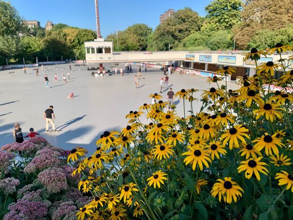Skatepark RSB Rollschuhbahn Hamburg: Bild Nr. 2