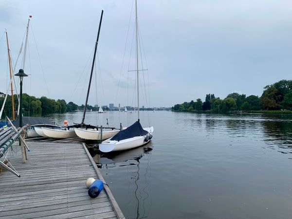 Ruderboot Bobby Reich e.K.: Bild Nr. 3