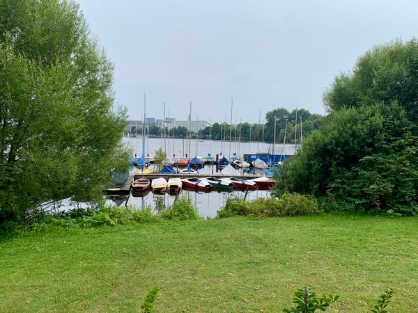 Tretboot Gesines Tretbootvermietung: Bild Nr. 3