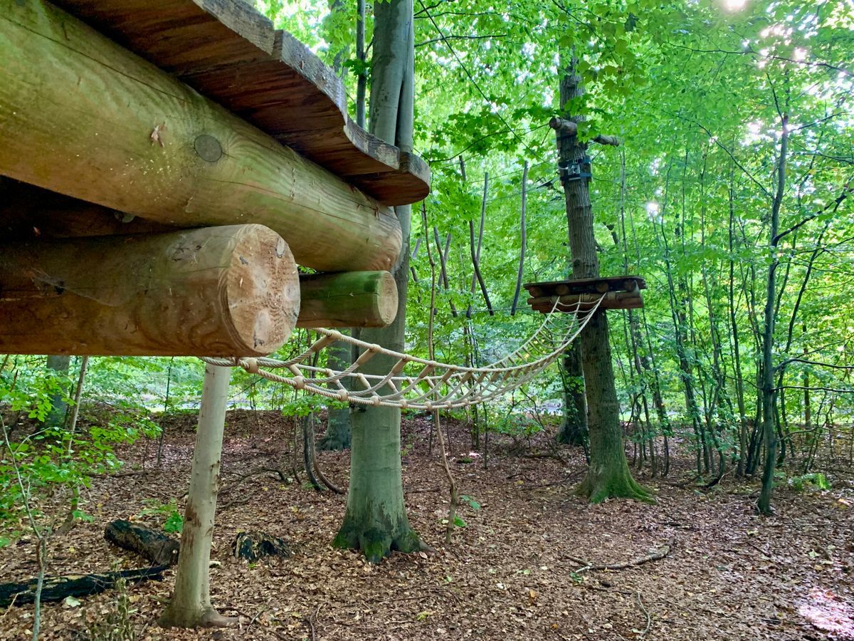 Bild Nr.: 1