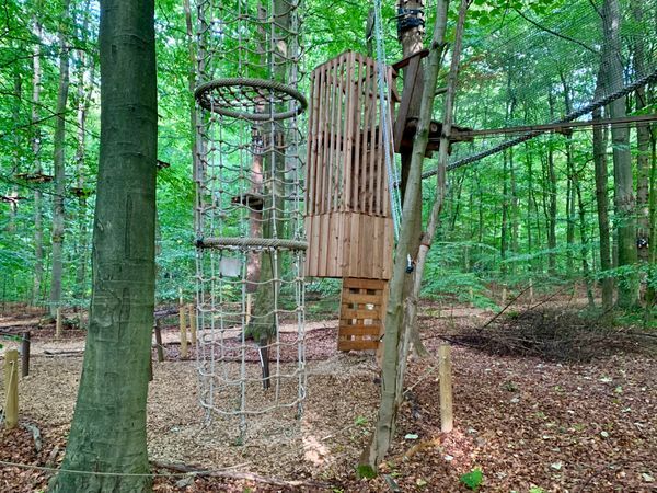 Bild Nr.: 4