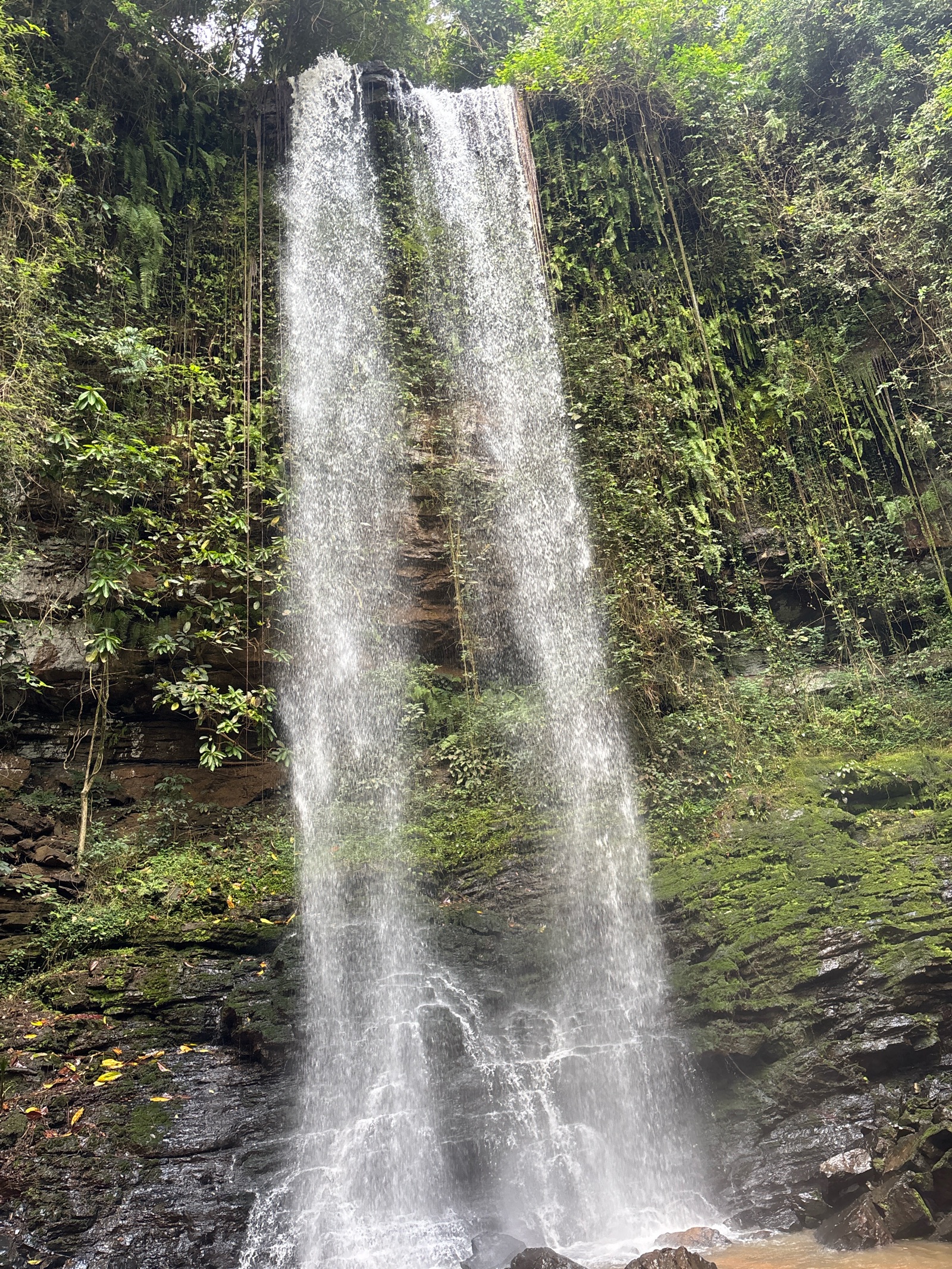 Quads & Falls gallery 1