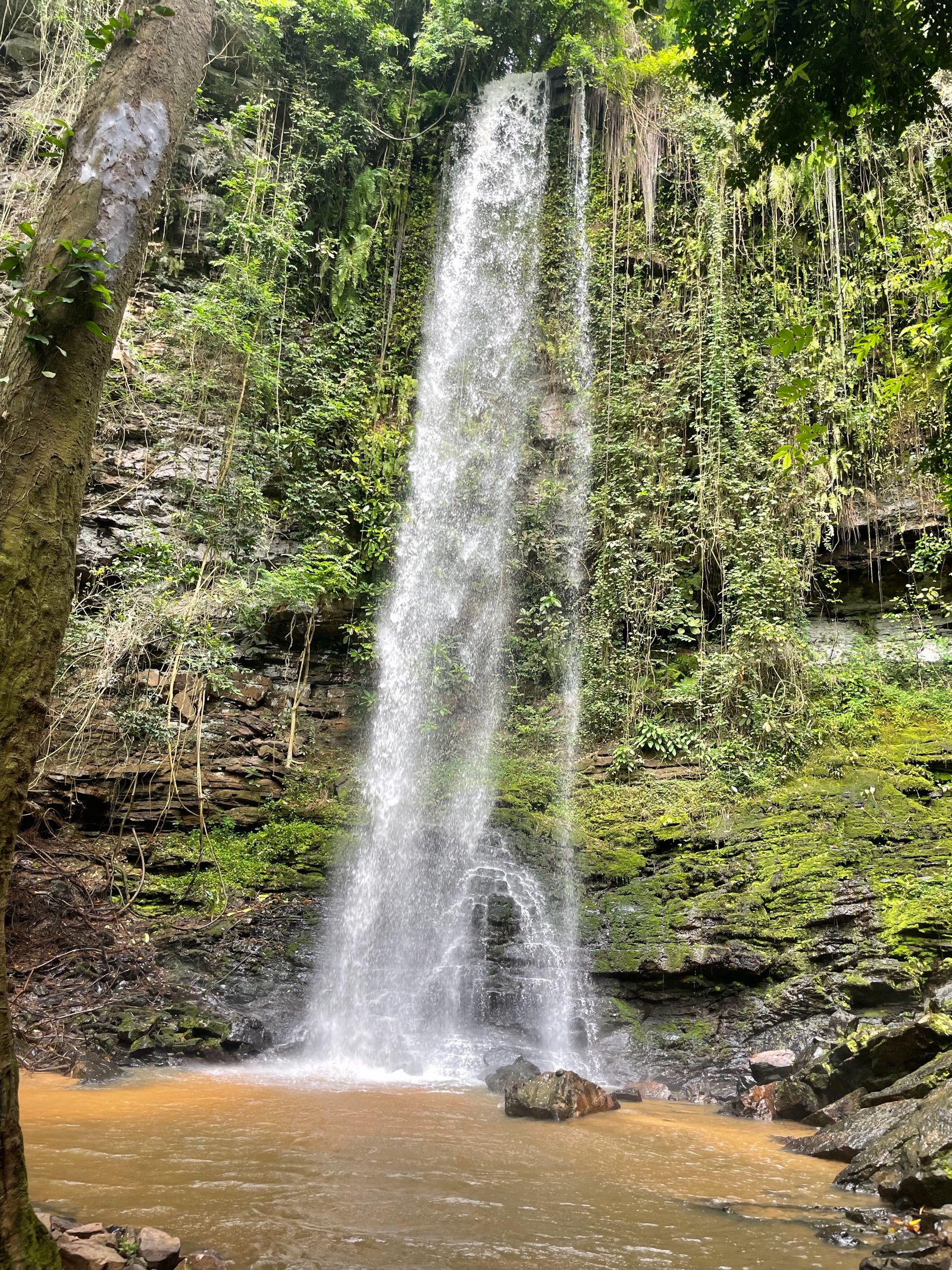 Chasing Waterfalls gallery 3
