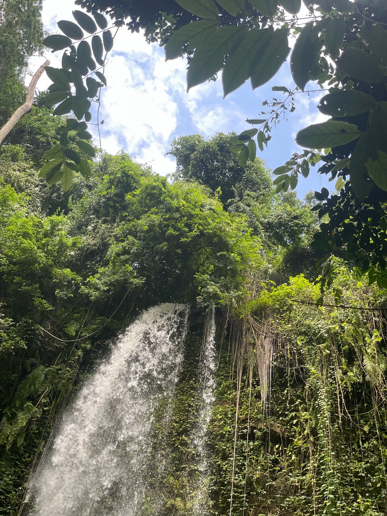 Chasing Waterfalls gallery 4