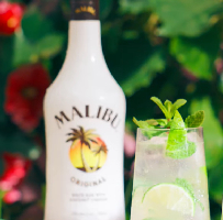 Malibu Mojito