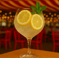 Gin Tônica Clássico