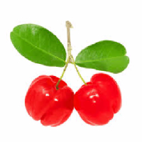Suco Sabor Acerola 500ml
